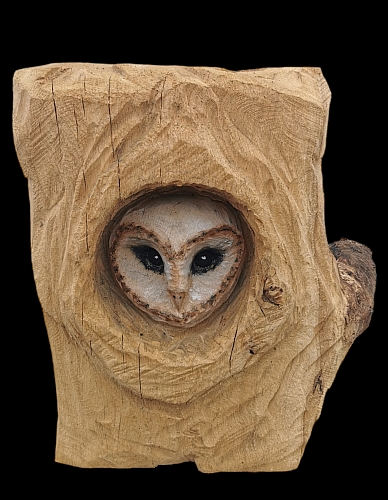 scheiereule barn owl eule holz motorsge kettensge schnitzen kettesgenkunst motorsgenkunst holzwerker